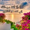 نوفيلا فى   