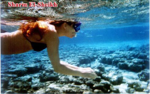 شقة للإيجار فى جنوب سيناء