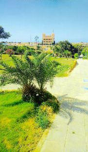شاليه للإيجار فى مركز الحمام - مطروح