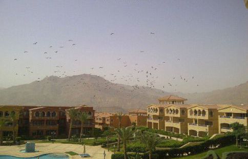 شاليه للإيجار فى العين السخنة - عتاقة - السويس