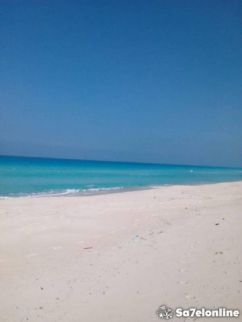 شاليه للإيجار فى مركز الحمام - مطروح