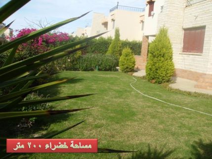فيلا للإيجار فى قسم برج العرب - الإسكندرية