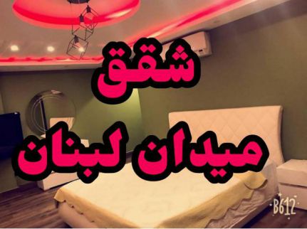 شقة للإيجار فى العجوزة - الجيزة
