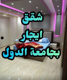 شقة للإيجار فى العجوزة - الجيزة