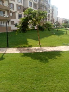 شقة للإيجار فى مدينتى - القاهرة