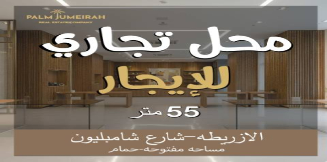 شقة للإيجار فى الشاطبي - قسم باب شرقي - الإسكندرية